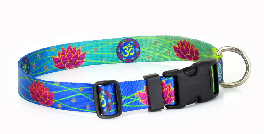 Yoga Key West Dog Collars and Yoga on the Beach