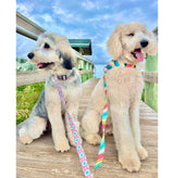 Seaside Stripes Seafoam & Coral Martingale Dog Collar
