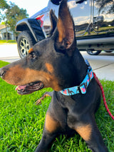 Patriotic Parade Blue Dog Collar