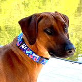 Patriotic Party Dog Collar