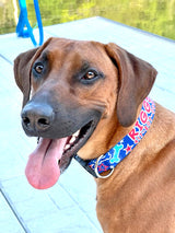 Patriotic Pup Personalized Dog Collar