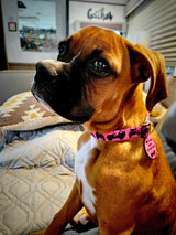 Jeeps Off-Road Pink Personalized Dog Collar