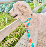 Seaside Stripes Ocean Personalized Martingale Dog Collar
