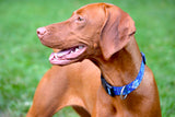 Tribal Hawaiian Print on Blue Personalized Dog Collar