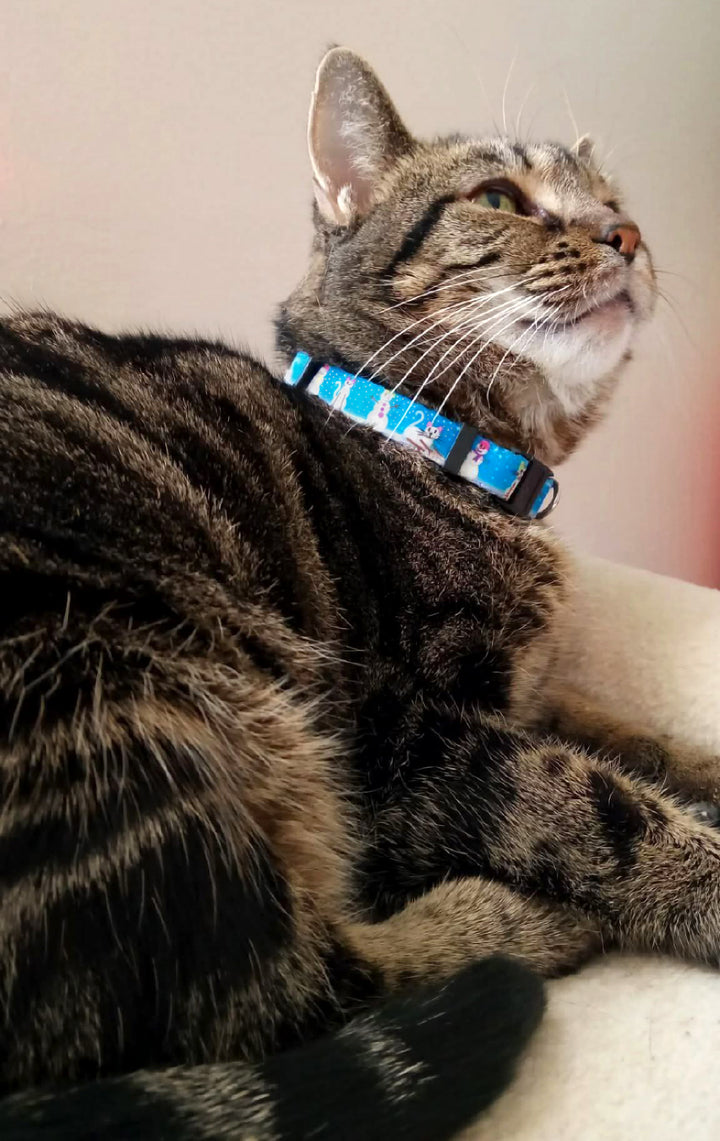 Christmas Snow Cat Blue
