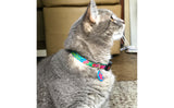Plumeria Peach on Teal Personalized Dog Collar