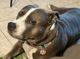Bones & Stripes Christmas Dog Collar Personalized