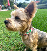Candy Cane & Bones Personalized Christmas Dog Collar