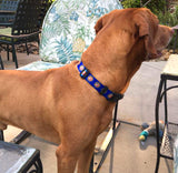 Conch Republic Key West Dog Collar Royal Blue