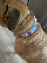 Red, White & Blue Picnic Personalized Dog Collar
