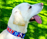 Patriotic Party Personalized Dog Collar