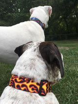 Red Hot Flames Dog Collar