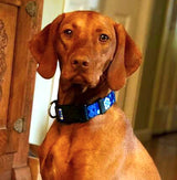 Tribal Hawaiian Print on Blue Personalized Dog Collar