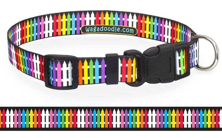 Key West Rainbow Picket Fence Dog Collar Art