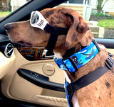 Skull & Crossbones Pirate Blue Camo Personalized Dog Collar