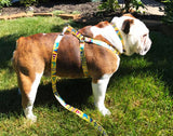 Tropical Seashore Yellow Personalized Dog Collar