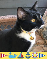 Tropical Seashore Yellow Personalized Dog Collar