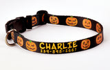 Halloween Pumpkins on Black Personalized Dog Collar