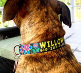 Passion Flower Black Dog Collar
