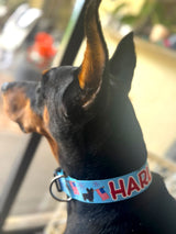 Patriotic Parade Blue Personalized Dog  Collar