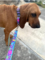 Dolphins and Frangipani Flowers Purple Personalized Dog Collar