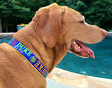 Signature-Autograph Personalized Dog Collar Royal Blue