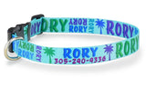 Signature-Autograph Personalized Dog Collar Aqua