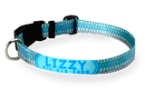 Tarpon Personalized Dog Collar