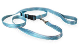 Tarpon Scales Dog Collar