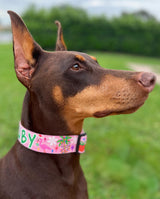 Tropical Christmas Pink Flamingo Personalized Dog Collar