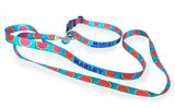Watermelon Personalized Dog Collar