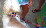 Dreamstime Personalized Dog Collar