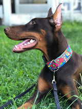 Mid-Century Modern Personalized Dog Collar