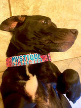 Mermaid Scales Pink Personalized Dog Collar