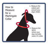 Rainbow Viscaya Personalized Martingale Dog Collar