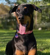 American Flag Dog Collar