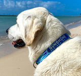 Back Country Drift Personalized Dog Collar