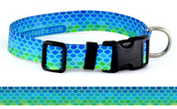 Plexus Personalized Dog Collar