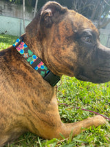 Passion Flowers Black Dog Collar