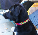 Hibiscus & Palm Fronds Red Personalized Dog Collar
