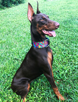 Mid-Century Modern Personalized Dog Collar