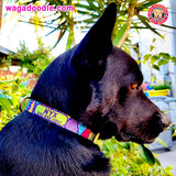 Wild Stripes Abstract Art Personalized Dog Collar