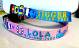 Seashore Pink Dog Collar
