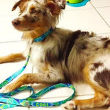 Atlantis Ocean Personalized Dog Collar