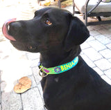 Big black dog named Benjamin wearing an om yoga, namaste dog collar personalized with his name