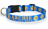 A bright blue dog collar with the seal of the Conch Republic Flag and personalized with the pet's name and phone number.