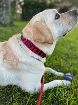 Halloween Bad Kitty Dog Collar