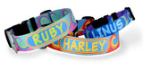 Waves Teal/Purple Personalized Dog Collar