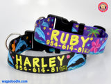 Dolphins and Frangipani Flowers Purple Personalized Dog Collar