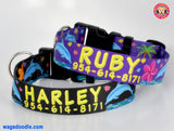 Dolphins and Frangipani Flowers Dog Collar on Black